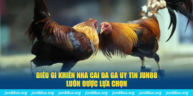 mu9 bet casino Trực tuyến