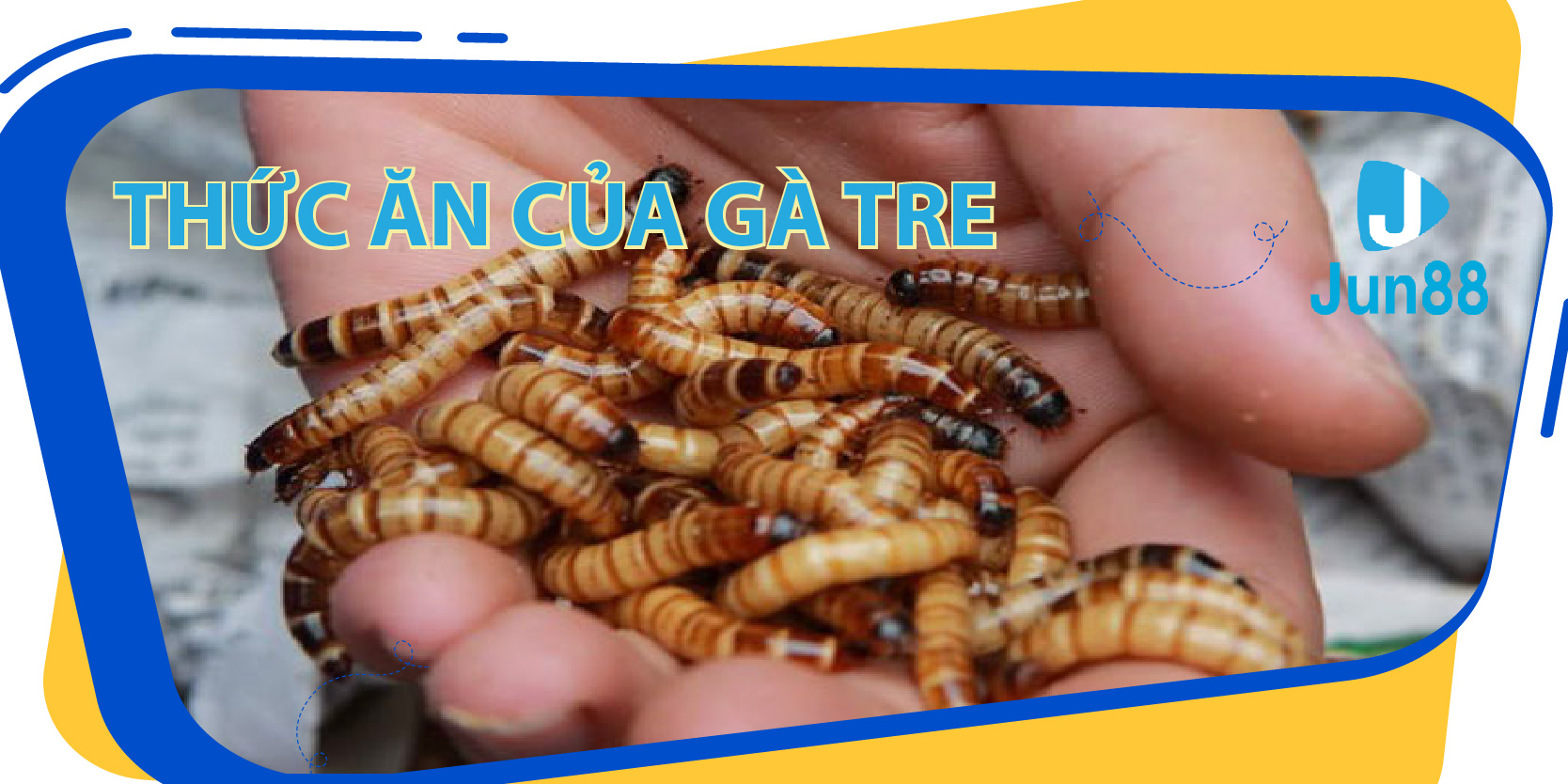 soxo9988 casino Trực tuyến