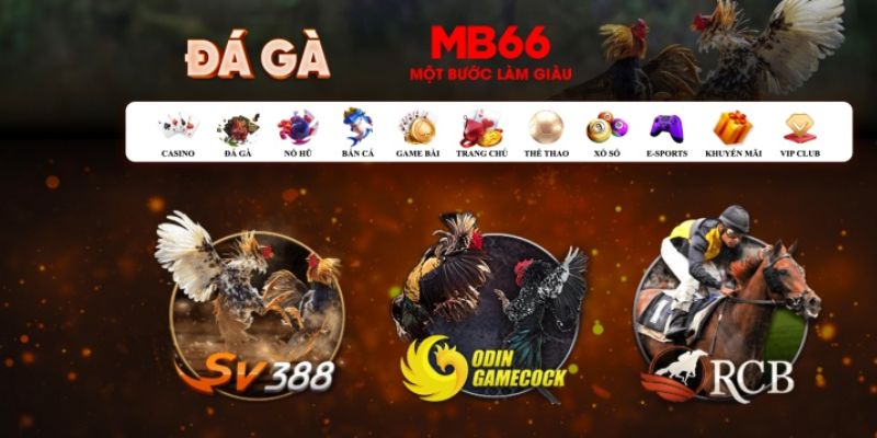 ku 11 casino Đăng ký