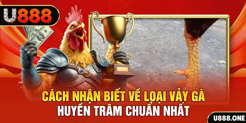 shondo casino LÀ GÌ