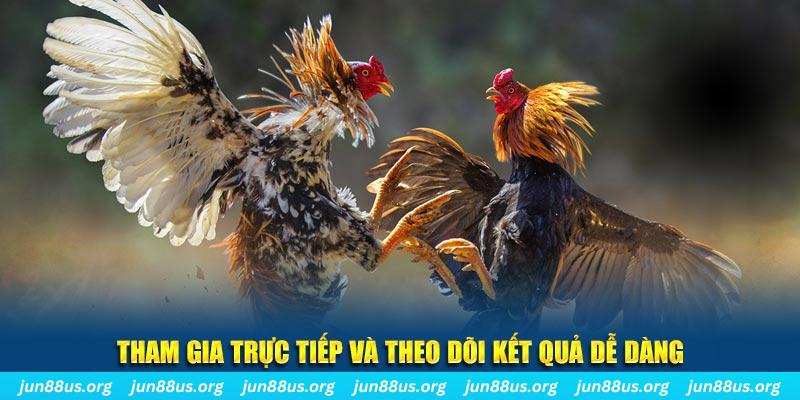ku711 sòng bạc SÒNG BẠC