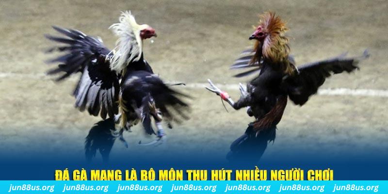 11 bet casino là gì