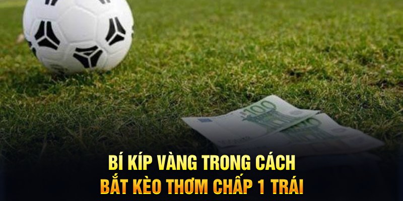 win8 bet casino ĐĂNG KÝ