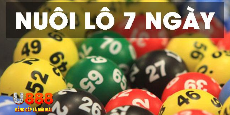 mcw 77 casino ĐĂNG NHẬP