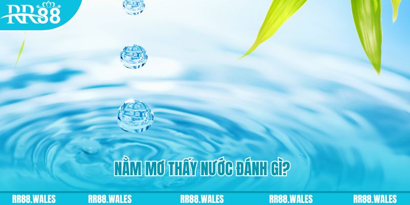 12 bet casino ĐĂNG NHẬP