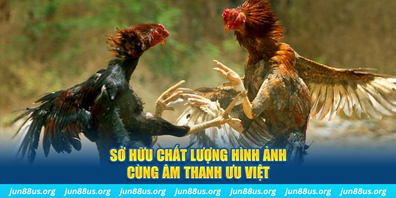 goo88 casino TỶ LỆ BÓNG ĐÁ