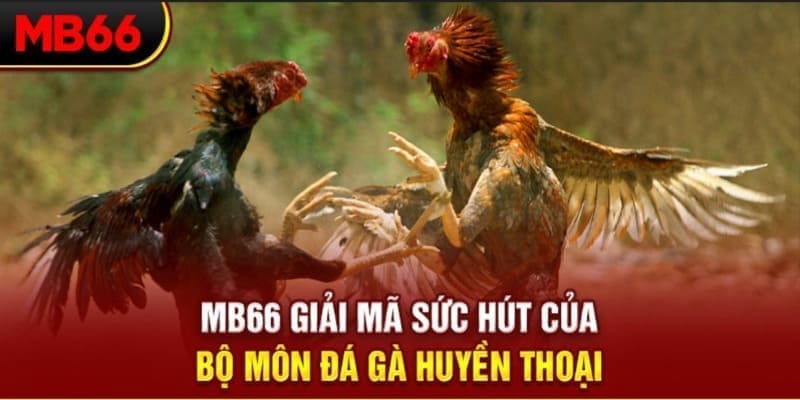 sunwwin casino tỷ lệ bóng đá