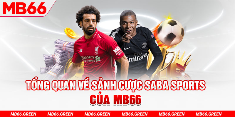 bet visa casino LINK MỚI