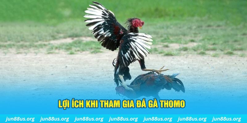 tj77 casino link mới
