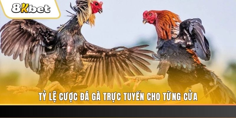fi88 casino ĐĂNG KÝ